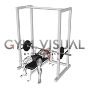 Barbell Pin Bench Press Conventional grip (male)