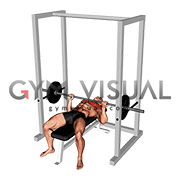 Barbell Pin Bench Press Conventional grip (male)