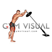 Landmine Squat (male)
