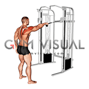 Cable Standing One Arm Face Pull