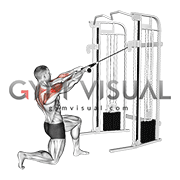 Cable Half Kneeling Face Pull