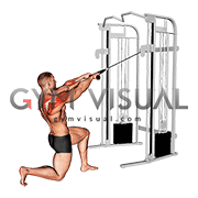 Cable Half Kneeling Face Pull