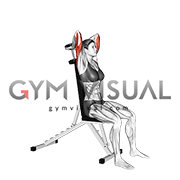 Dumbbell Seated Triceps Extension (VERSION 2)