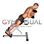 Dumbbell Hyperextension (male)