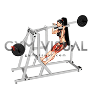 Lever Pendulum Squat (plate loaded) (female)
