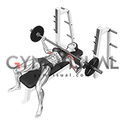 Barbell Wide Bench Press (female)