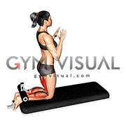 Inverse Leg Curl with Bench Pads (female)