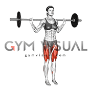 Barbell Curtsey Lunge (female)