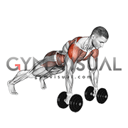 Dumbbell Lateral Raise Plank (male)