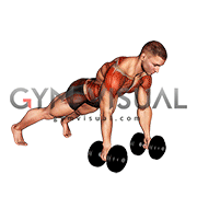 Dumbbell Lateral Raise Plank (male)