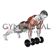 Dumbbell Underhand Renegade Row (male)