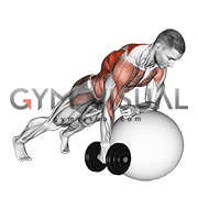 Dumbbell Renegade Row on Stability Ball (male)
