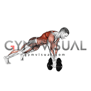 Royalty-free GIFs about anatomy of fitness and bodybuilding (68) - Gym  visual