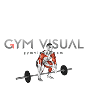 Barbell Clean and Jerk