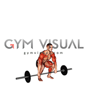 Barbell Clean and Jerk