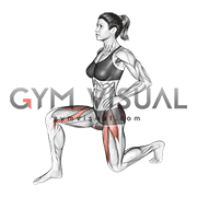 Kneeling Hip Flexor Stretch (female)