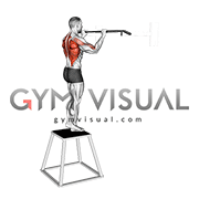 Pull-up (negative) (male)