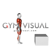 Burpee Jump Box (male)