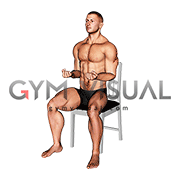 Seated External Rotation on a Chair (male)