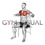 Seated Chest Press on a Chair (male)