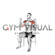 Seated Shoulder Press on a Chair (male)