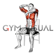 Seated Rotating Boxing Rolls on a Chair (male)