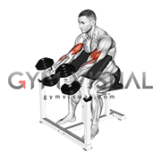 Dumbbell Preacher Swing Curl (male)