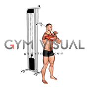 Cable Standing Single Arm Horizontal Triceps Extension (male)