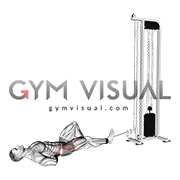 Cable Lying Single Leg Hip Flexion (male)