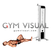 Cable Lying Single Leg Hip Flexion (male)
