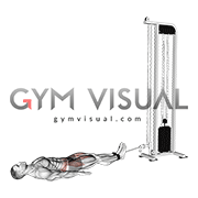 Cable Lying Hip Flexion (Reverse Squat) (male)