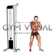 Cable Standing Jab (male)