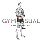 Neutral Wrist Roller