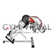 45 degrees Back Extension Scapular Adduction (male)