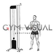 Cable Forearm Pronation (male)
