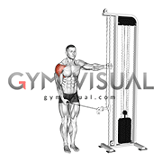 Cable Single Arm Lateral Raise (VERSION 2) (male)
