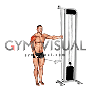 Cable Single Arm Lateral Raise (VERSION 2) (male)