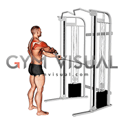 Cable Standing Y-raise (VERSION 2) (male)