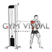 Cable Standing Jab (VERSION 2) (male)