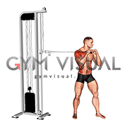 Cable Standing Jab (VERSION 2) (male)