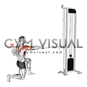 Cable Half Kneeling External Rotation Press (male)