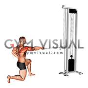 Cable Half Kneeling External Rotation Press (male)