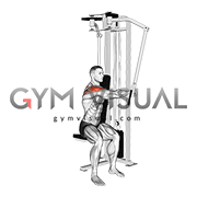 Lever Side Seated Single Arm Rear Delt Fly (male)