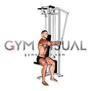 Lever Side Seated Single Arm Rear Delt Fly (male)