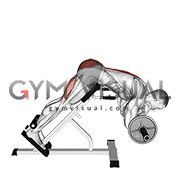 Barbell Zercher Back Extension (male)