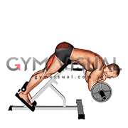 Barbell Zercher Back Extension (male)