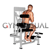 Lever Back Extension