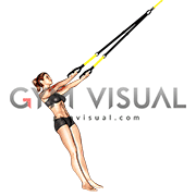 Suspender Arm Curl
