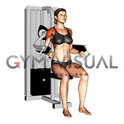 Lever Lateral Raise (female)