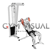 Cable Incline Triceps Extension